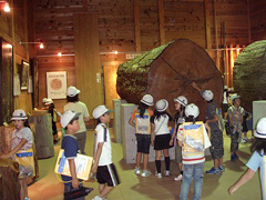 �ʐ^�F�u�؂̊� �L�����v�̎����قɓW������Ă���n���̑吙�����w����q�ǂ�����