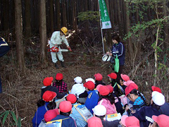 �ʐ^�F��̏㗬�ɂ���R�ŗыƂ̗l�q�����w����q�ǂ�����