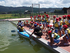 �ʐ^�F�w�Z�̃v�[���ŃJ�k�[�̌����s���q�ǂ�����