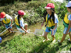 �ʐ^�F�ߗׂ̐쌴�ɏo�����ē��A���̊ώ@�ɗ�ގq�ǂ�����