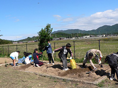 �ʐ^�F�Z���̈�p�Ɏ��؂�A����q�ǂ�����