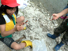 �ʐ^�F�n���̐쌴�ł͉��΂��̎悷��q�ǂ�����