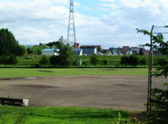 �ʐ^�F�s�c�O���E���h