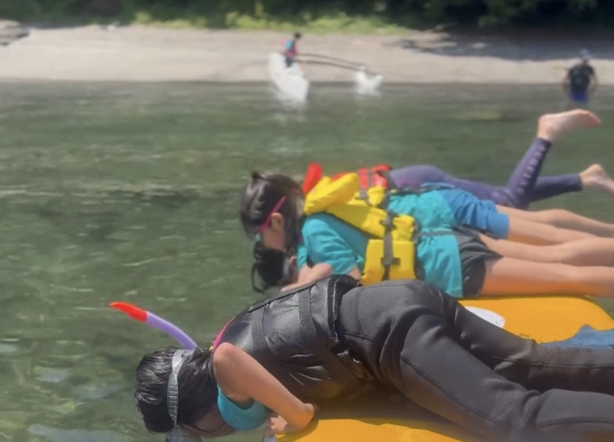 〇磯観察　胴網海岸の生き物たちを捕まえて観察してみよう！