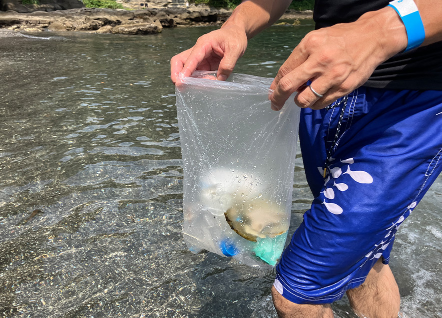 海の中にもガラスやペットボトルの破片が