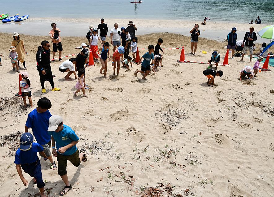 砂に埋められたお宝を探す！
