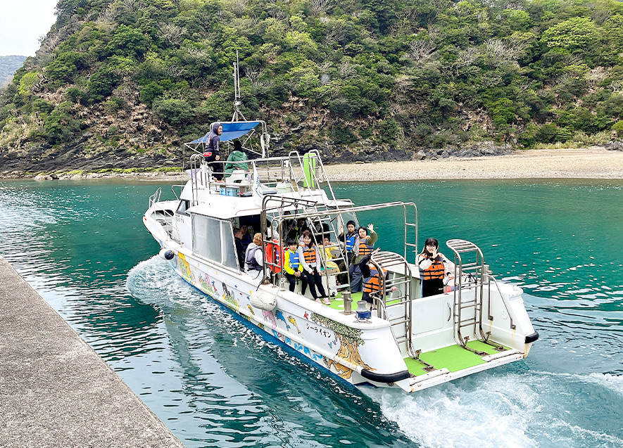 ホエールウォッチング