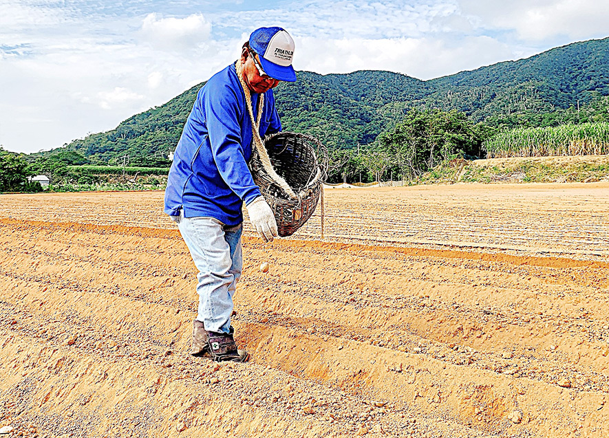 農業体験の様子