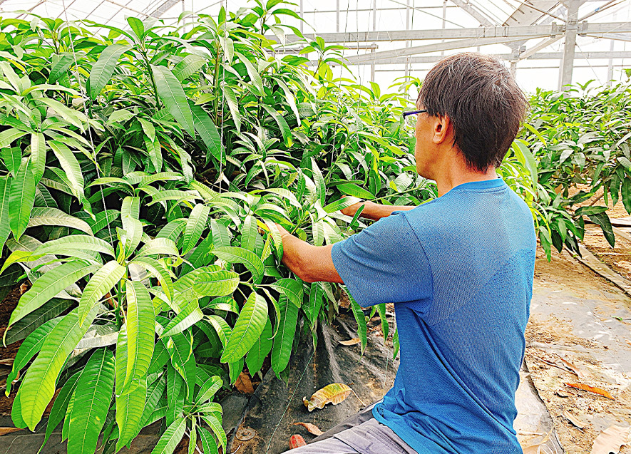 農業体験の様子