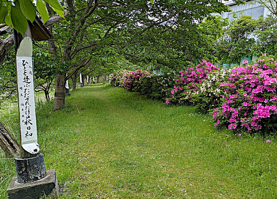 優秀句の句碑が約２キロにわたり建ち並ぶ