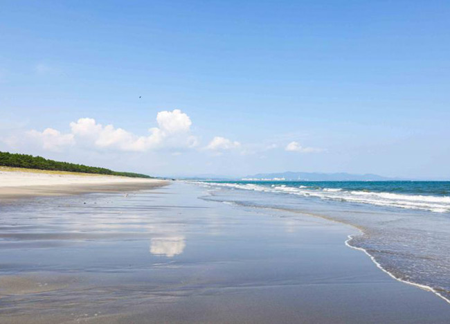 日本の白砂青松100選に選ばれた大崎海岸。海洋クラブの活動の舞台でもあり、絶滅危惧種のウミガメやコアジサシが産卵に訪れる自然豊かな海が広がっている。