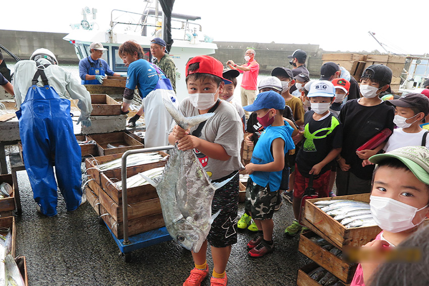 海辺の活動「志布志湾の魚を知ろう」
