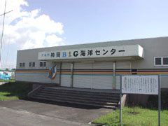大仙市神岡Ｂ＆Ｇ海洋センター【廃止】